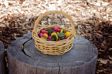 Load image into Gallery viewer, Banksia