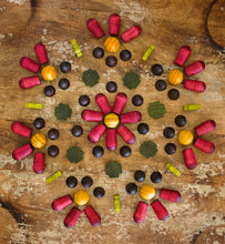 Load image into Gallery viewer, Gumnut