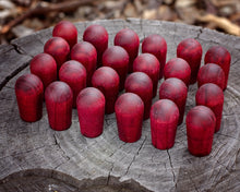 Load image into Gallery viewer, Banksia