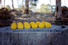 Load image into Gallery viewer, Wattle