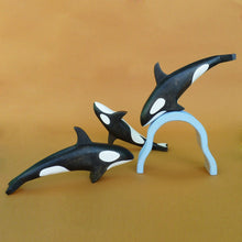 Load image into Gallery viewer, Forest Melody - Orca
